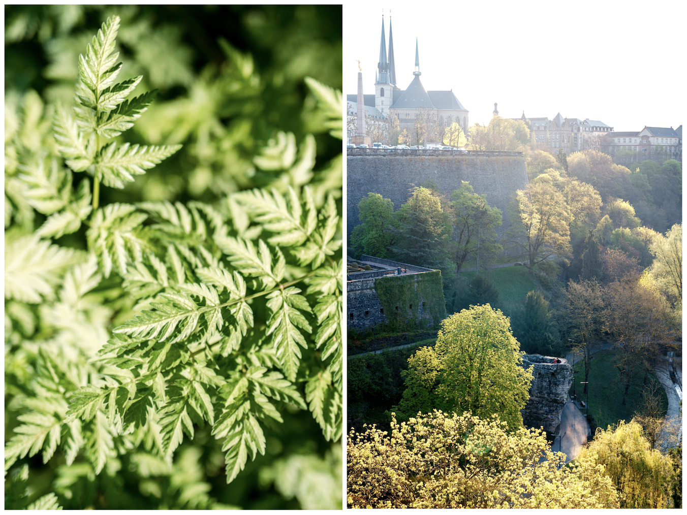 Luxembourg city view Tourist Holidays Photographer